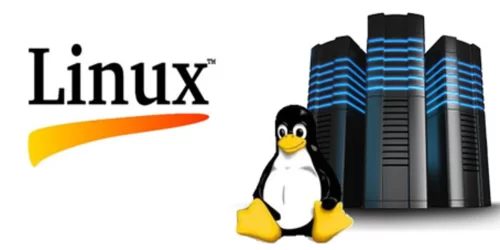 linux-server-hosting-500x500